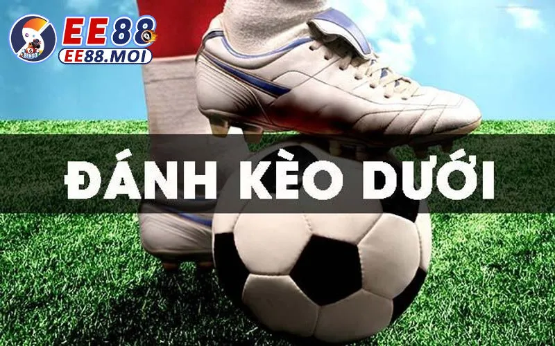 CHIA SẺ CÁCH ĐÁNH KÈO DƯỚI TẠI EE88 HIỆU QUẢ TỪ CÁC CAO THỦ 2 Tổng quan về kèo dưới tại EE88