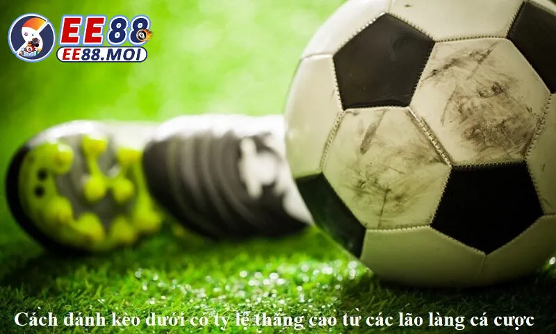 CHIA SẺ CÁCH ĐÁNH KÈO DƯỚI TẠI EE88 HIỆU QUẢ TỪ CÁC CAO THỦ 3 Hướng dẫn cách đánh kèo dưới