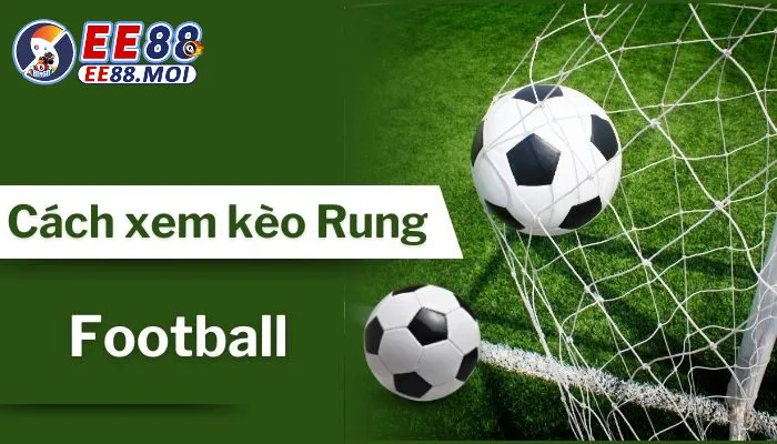 CÁCH XEM KÈO RUNG CHÍNH XÁC EE88 – BÍ KÍP VÀNG CHO DÂN CÁ CƯỢC 3 Mẹo chơi kèo rung từ chuyên gia